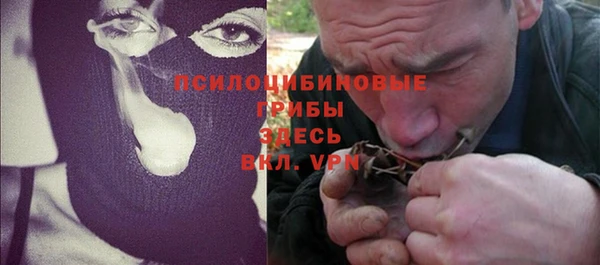 ПСИЛОЦИБИНОВЫЕ ГРИБЫ Алзамай