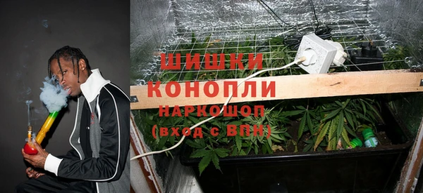 ПСИЛОЦИБИНОВЫЕ ГРИБЫ Алзамай